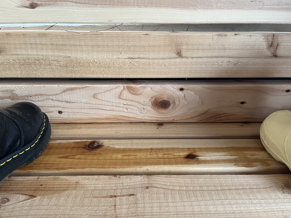 Chop Seat bug 1: back beams